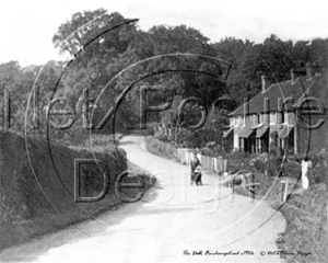 Picture of Berks - Finchampstead, The Dell c1910s - N977