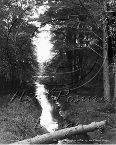 Picture of Berks - Wokingham, The Pines c1910s - N1201