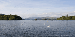 Picture of Cumbria - Lake District, Lake Windermere - N1833