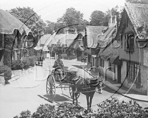 Picture of Isle of Wight - Shanklin c1900s - N864
