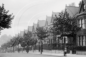 Ardbeg Road, Dulwich in South East London c1910s