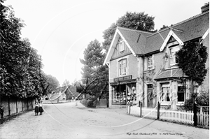 Picture of Surrey - Charlwood, High Road c1906 - N2578