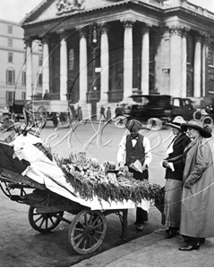 Picture of London Life - Street Fruit Hawker c1910s - N451