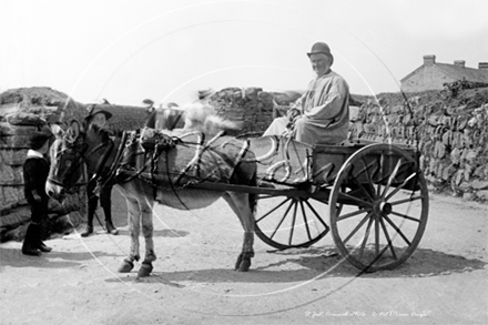 Picture of Cornwall - St Just, Donkey and Cart c1900s - N2675