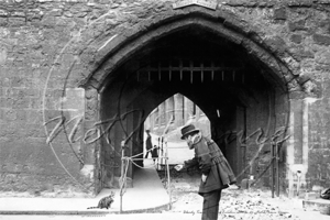 Tower of London, with the Tower cat in London c1900s