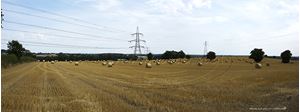 Picture of Yorks - Coxwold, Bales of Hay Panorama 2014 - N2948