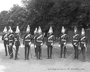 Picture of Misc - Army, Royal Life Guards c1910s - N813