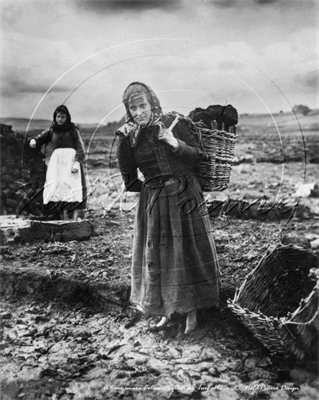 Picture of Ireland, S -  Connemara, Collecting Turf c1920s - N1035