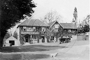 Picture of Surrey - Leatherhead, The Bull c1900s - N3396