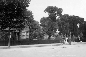 Picture of London, W - Ealing, Walpole Park c1920s - N3447