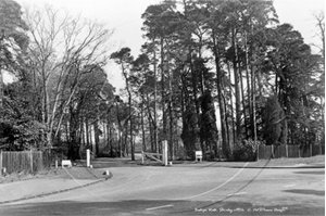 Picture of Surrey - Shirley, Bishops Walk c1950s - N3493