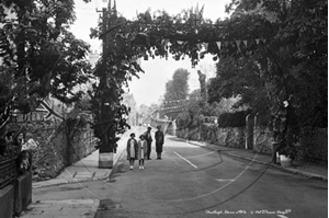 Picture of Devon - Chudleigh, Street Scene c1930s - N3530