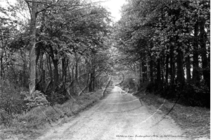 Picture of Berks - Finchampstead, Whitehorse Lane c1920s - N3684