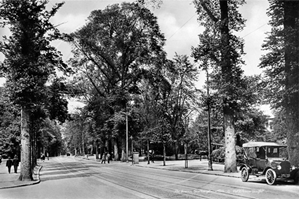 Picture of Hants - Southampton, The Avenue c1920s - N3906