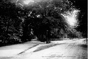 Picture of Berks - Reading, Pepper Lane and White Knights Road c1900s - N3983