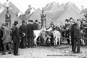Picture of London, N - Caledonian Cattle Market, The Poets Corner c1890s - N4326