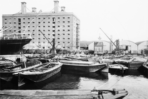 Grain Handling, London Docks on The Thames in London c1900s