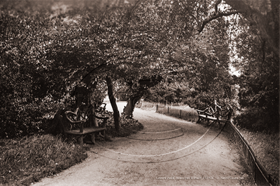 Picture of London, SE - Eltham, Avery Hill, Lovers Walk 1910s - N5322